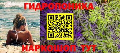 сатива Нальчик