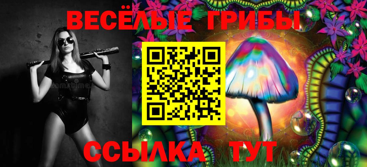 Галлюциногенные грибы Cubensis Тверь