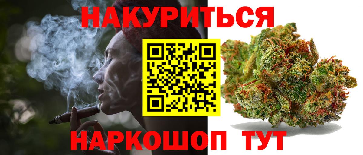 Канабис сатива Тверь